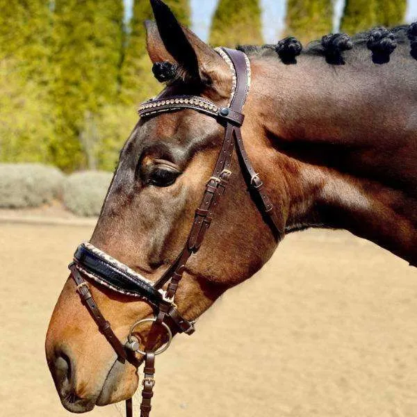 Black Patent Croc Brown Leather H.M. Safari Snaffle Bridle